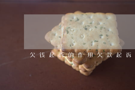 欠钱起诉的作用(欠款起诉有用吗?)