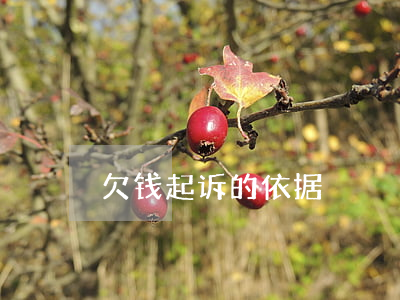欠钱起诉的依据