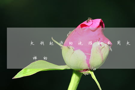 欠钱起诉的流程和费用(欠钱起诉流程是怎么样的)