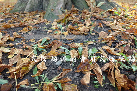 欠钱起诉的费用（欠钱被起诉费用）