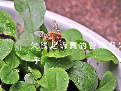欠钱起诉真的管用吗(欠钱起诉真的管用吗知乎)