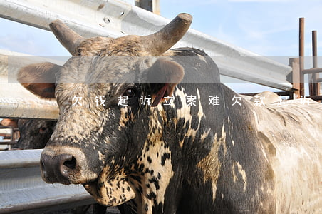 欠钱起诉立案难(欠款起诉立案的条件)