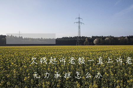 欠钱起诉老赖一直上诉(老赖不还钱,起诉后说无力承担怎么办)