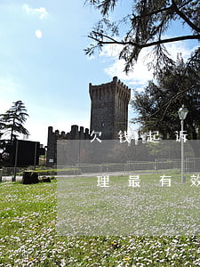 欠钱起诉老赖怎么处理(欠钱起诉老赖怎么处理最有效)