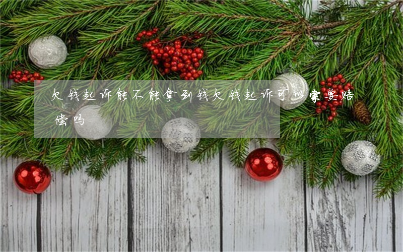 欠钱起诉能不能拿到钱(欠钱起诉可以索要赔偿吗)