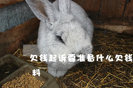 欠钱起诉要准备什么 欠钱起诉要准备什么资料