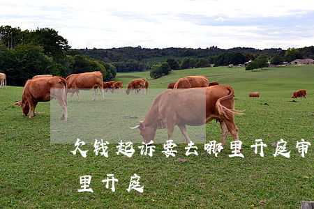 欠钱起诉要去哪里开庭审理（欠钱起诉要去哪里开庭）