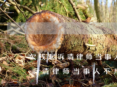 欠钱起诉请律师当事人不用出庭吗-欠钱起诉请律师当事人不用出庭吗怎么办