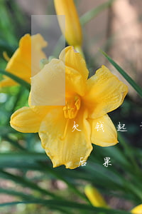 欠钱起诉败诉没钱还(起诉败诉没有钱有什么后果)