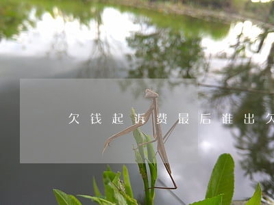 欠钱起诉费最后谁出(欠钱起诉费最后谁出了)