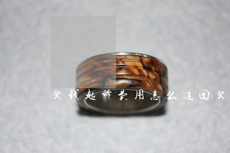 欠钱起诉费用怎么追回(欠钱起诉费怎么算)