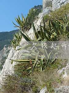 欠钱起诉赢了不给钱-起诉赢了不给钱怎么办
