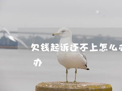 欠钱起诉还不上怎么办(欠债起诉还不上怎么办)