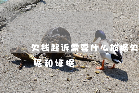 欠钱起诉需要什么依据(欠钱起诉需要什么依据和证据)