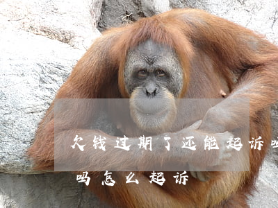 欠钱过期了还能起诉吗(欠钱过期了还能起诉吗怎么起诉)