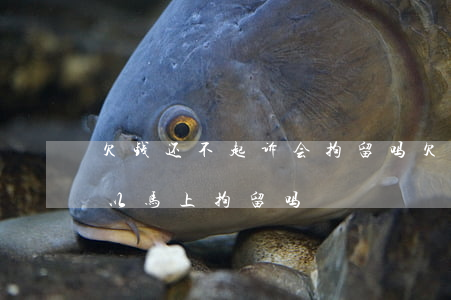 欠钱还不起诉会拘留吗 欠帐不还起诉以后可以马上拘留吗