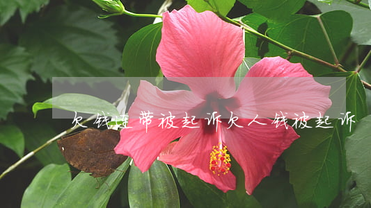 欠钱连带被起诉 欠人钱被起诉