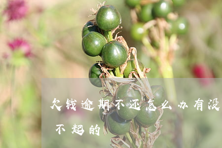 欠钱逾期不还怎么办(有没有欠钱逾期很久还不起的)