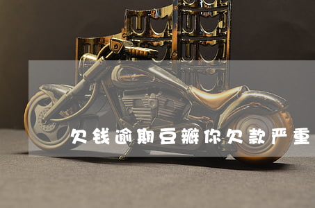 欠钱逾期豆瓣 你欠款严重逾期一案