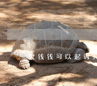 欠钱钱可以起诉(欠钱可以起诉到法院吗)