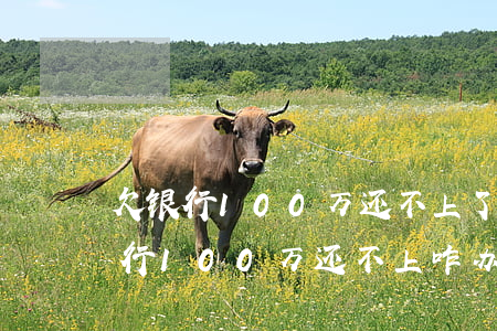 欠银行100万还不上了会坐牢吗-我欠银行100万还不上咋办!会坐牢吗?