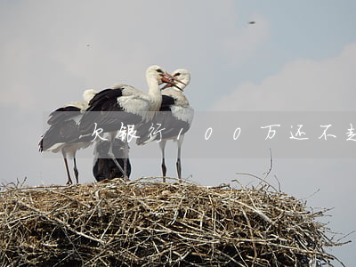 欠银行100万还不起？解决方案在此！