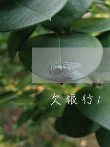 欠银行100元10年后应还多少钱