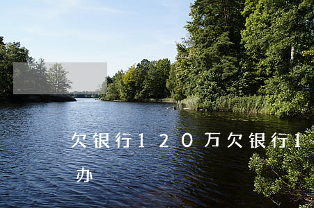 欠银行120万(欠银行120万还不上怎么办)
