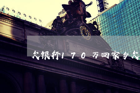 欠银行170万回家乡(欠了银行167亿)
