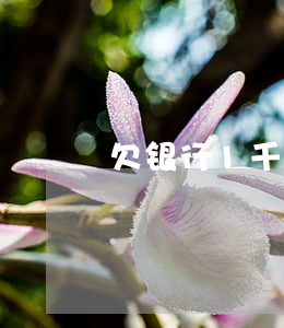 欠银行1千万判多少年(欠银行一千万)
