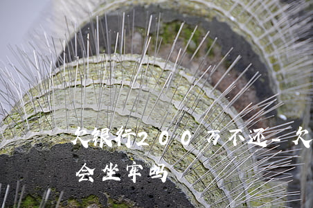 欠银行200万不还-欠银行200万不还会坐牢吗