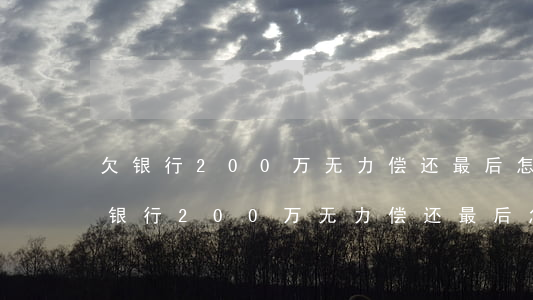 欠银行200万无力偿还最后怎么处理-欠银行200万无力偿还最后怎么处理呢