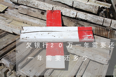 欠银行20万一年需要还多少(欠银行20万一年需要还多少)