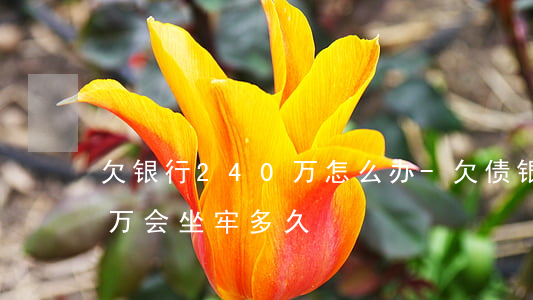 欠银行240万怎么办-欠债银行200多万会坐牢多久