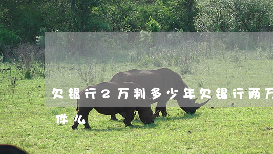 欠银行2万判多少年(欠银行两万属于刑事案件么)