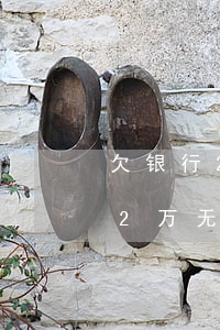 欠银行2万无力偿还法院会怎么判-欠银行2万无力偿还法院会怎么判决