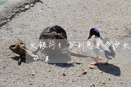 欠银行3万利息是多少 欠银行三万块钱判多少年