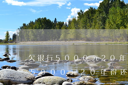 欠银行5000元20年多少利息-欠银行5000元20年得还多少钱
