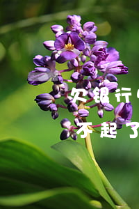 欠银行50万还不上想死了（欠银行五十万还不起了）