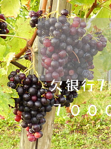 欠银行7000会冻结微信的钱吗-欠银行7000会冻结微信的钱吗知乎