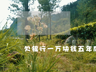 欠银行一万块钱五年后还多少钱