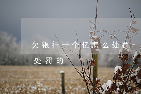 欠银行一个亿怎么处罚-欠银行一个亿怎么处罚的