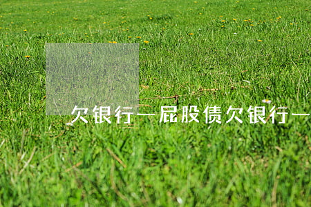 欠银行一屁股债(欠银行一屁股债怎么办)