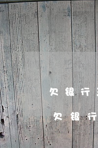 欠银行三百万的钱没有偿还能力了怎么办-欠银行三百万的钱没有偿还能力了怎么办呢