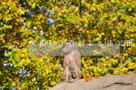 欠银行上百万怎么还(欠银行上百万怎么还)