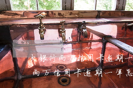 欠银行两万信用卡逾期一年怎么办-欠银行两万信用卡逾期一年怎么办理