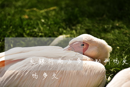 欠银行两万多会判刑吗(欠银行两万多会判刑吗多久)