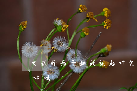 欠银行两千块钱被起诉(欠银行2千多能被起诉吗)