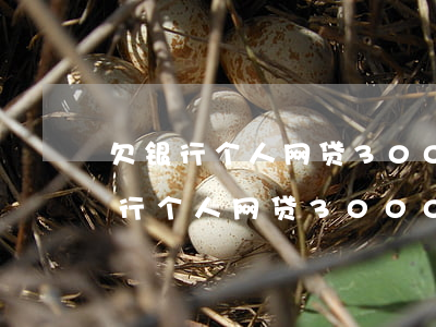 欠银行个人网贷3000万会坐牢吗-欠银行个人网贷3000万会坐牢吗知乎