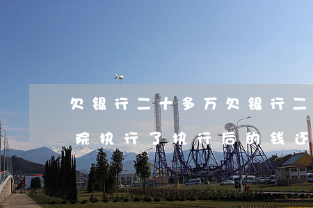欠银行二十多万(欠银行二十多万还不起被法院执行了执行后的钱还有利息)